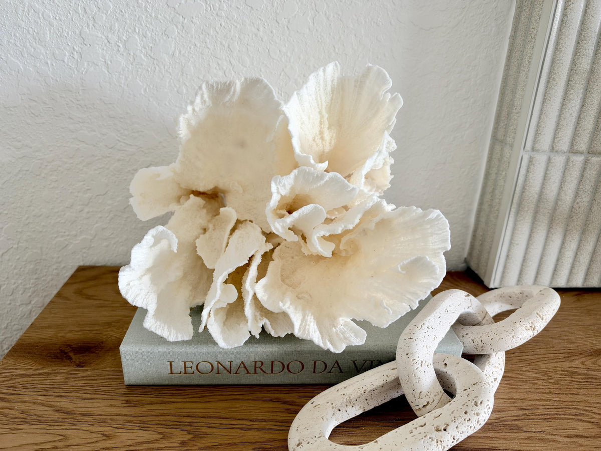 Natural Poca Coral Fossil: 10" x 9.5" x 8.5" Coastal Beach House White Décor