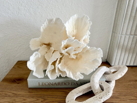 Natural Poca Coral Fossil: 10" x 9.5" x 8.5" Coastal Beach House White Décor