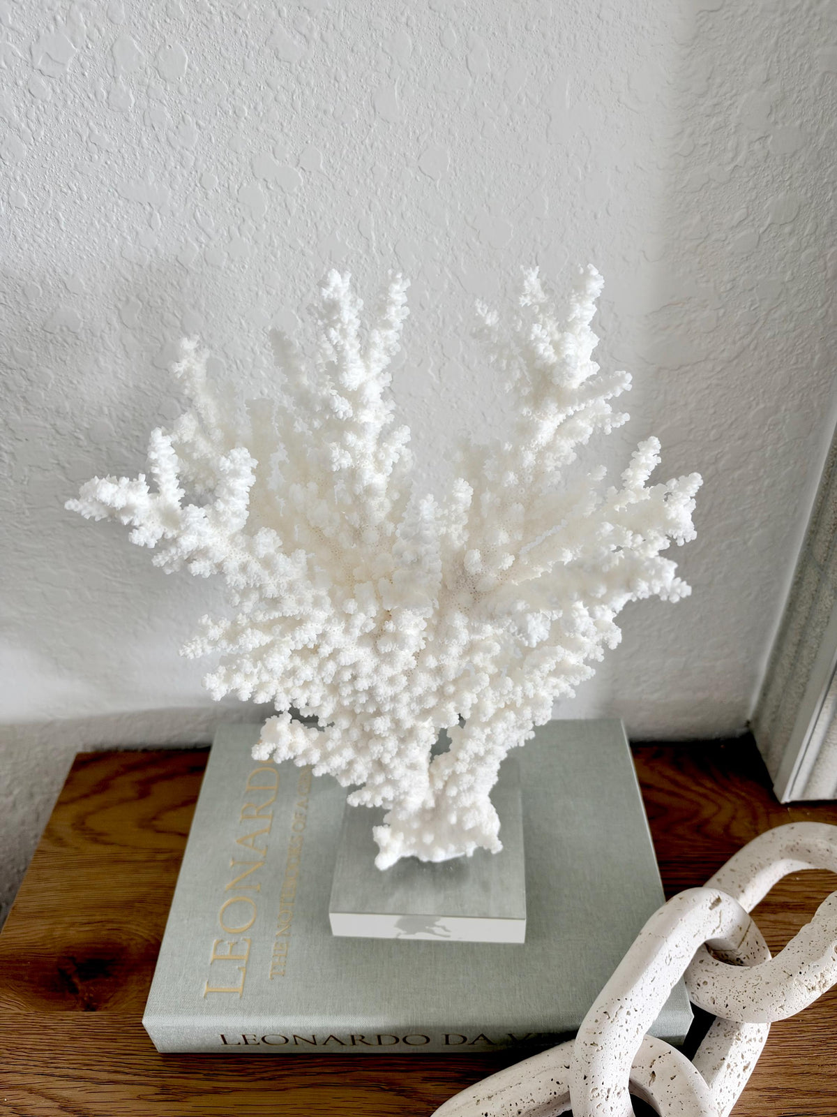 Real Branch Coral Fossil Specimen: 13.25" x 9" x 4" Coastal Décor (Lucite Mount)