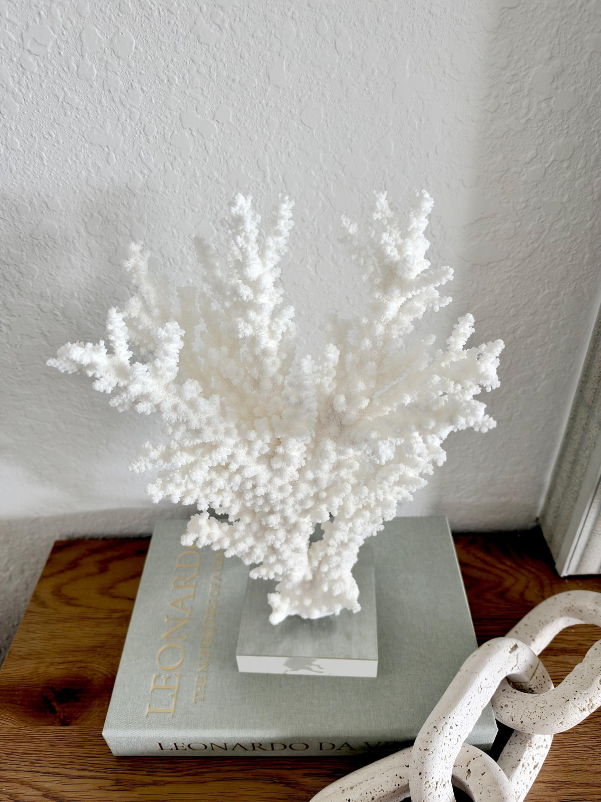 Real Branch Coral Fossil Specimen: 12.5" x 13" x 4.5" Coastal Décor (Lucite Mount)