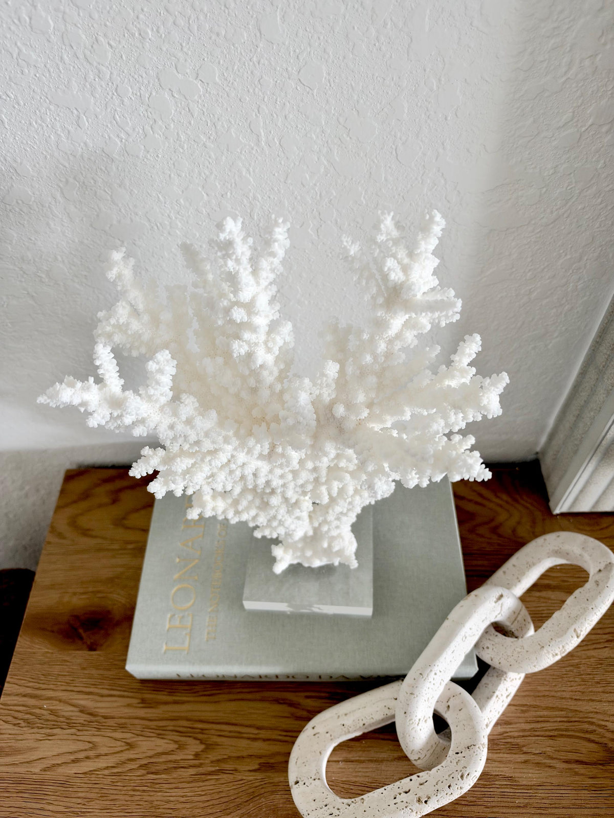 Real Branch Coral Fossil Specimen: 13.25" x 9" x 4" Coastal Décor (Lucite Mount)