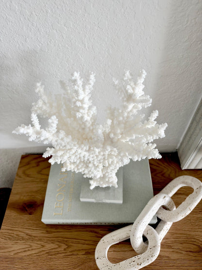 Real Branch Coral Fossil Specimen: 12.5" x 13" x 4.5" Coastal Décor (Lucite Mount)