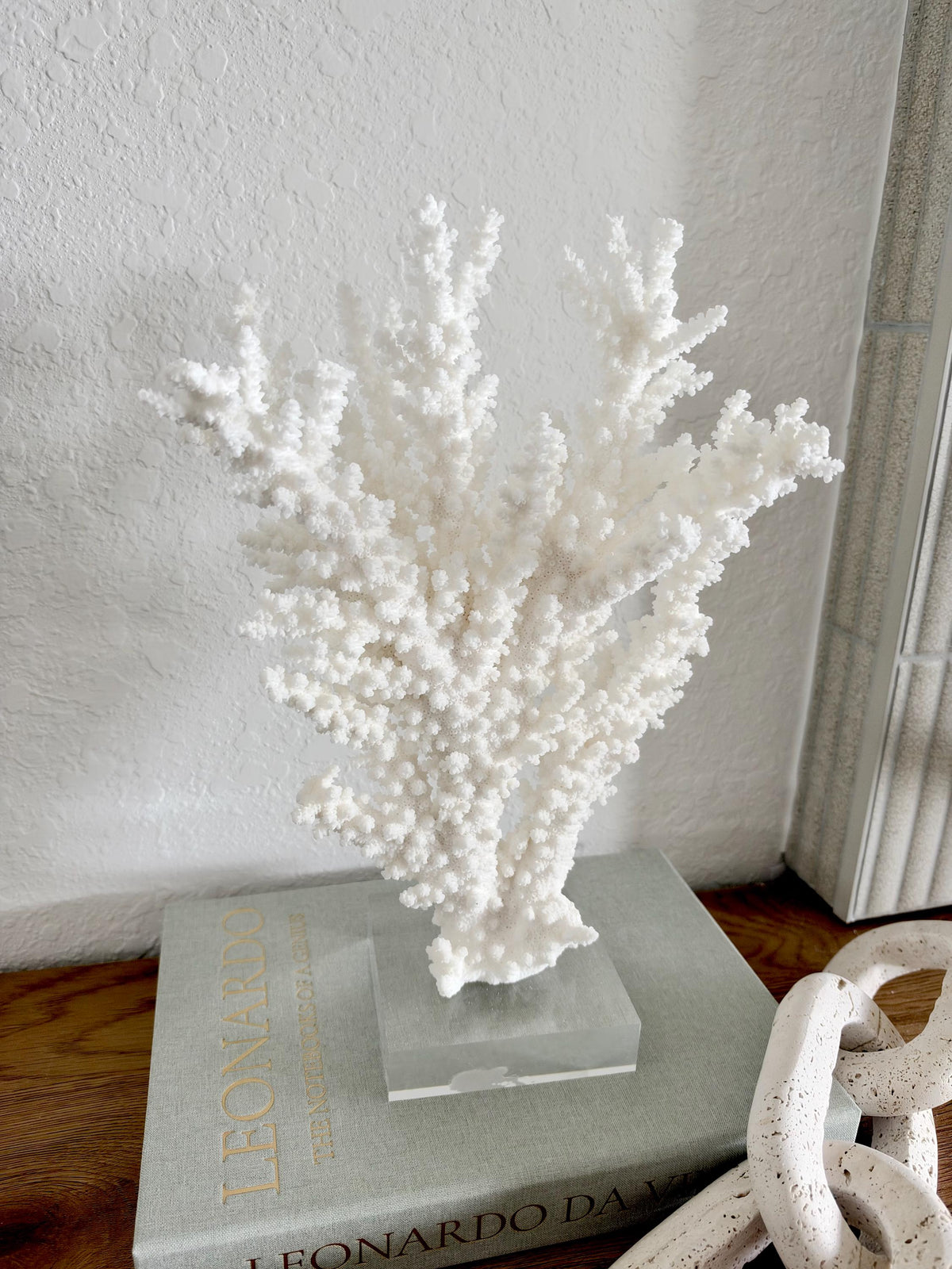 Real Branch Coral Fossil Specimen: 13.25" x 9" x 4" Coastal Décor (Lucite Mount)
