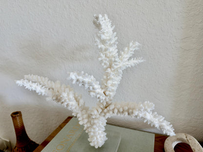 Real Branch Coral Fossil Specimen: 14.75" x 13" x 7.5" Coastal Décor (Lucite Mount)