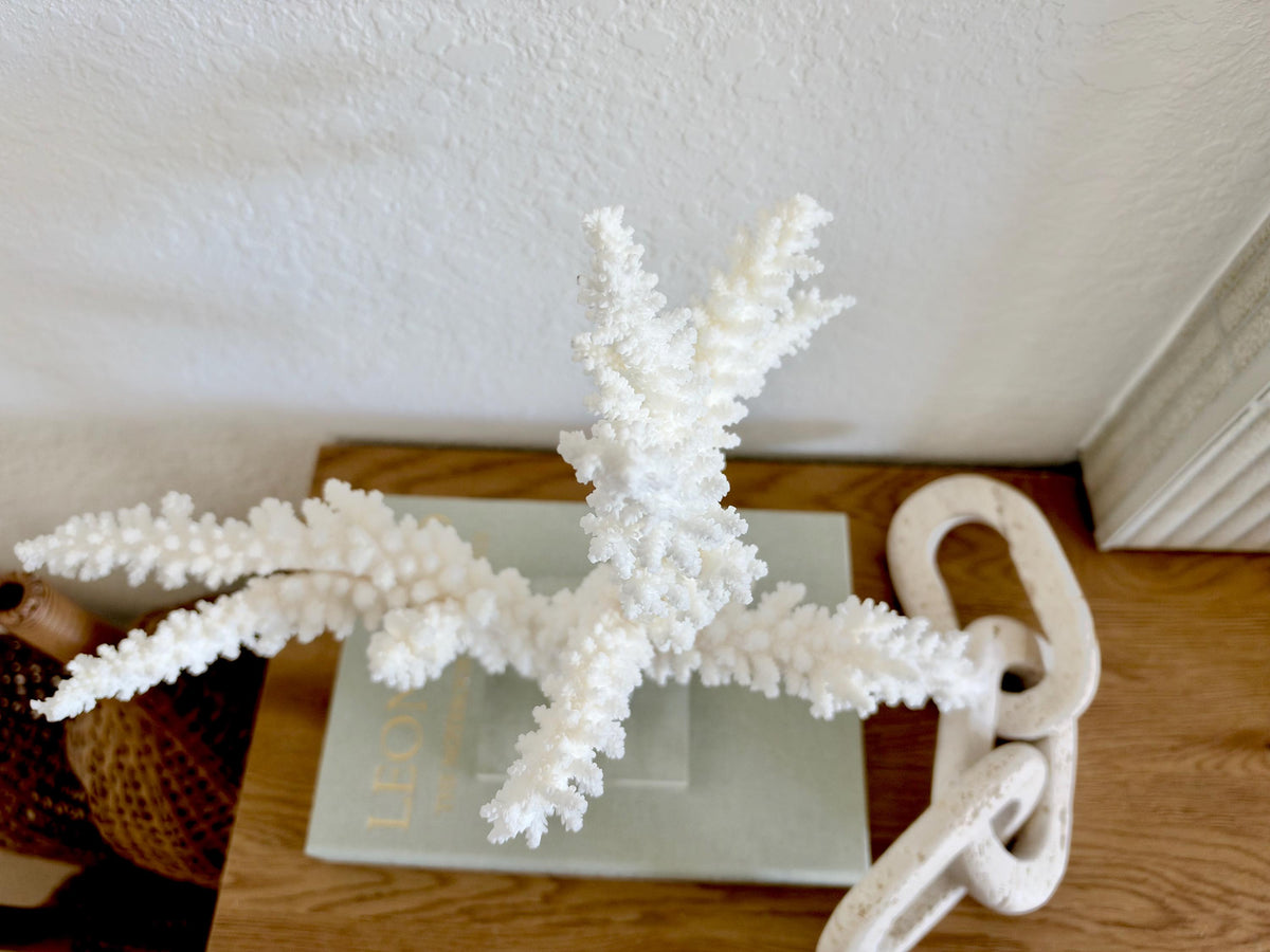 Real Branch Coral Fossil Specimen: 14.75" x 13" x 7.5" Coastal Décor (Lucite Mount)