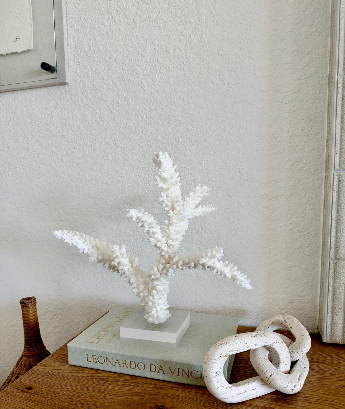 Real Branch Coral Fossil Specimen: 14.75" x 13" x 7.5" Coastal Décor (Lucite Mount)
