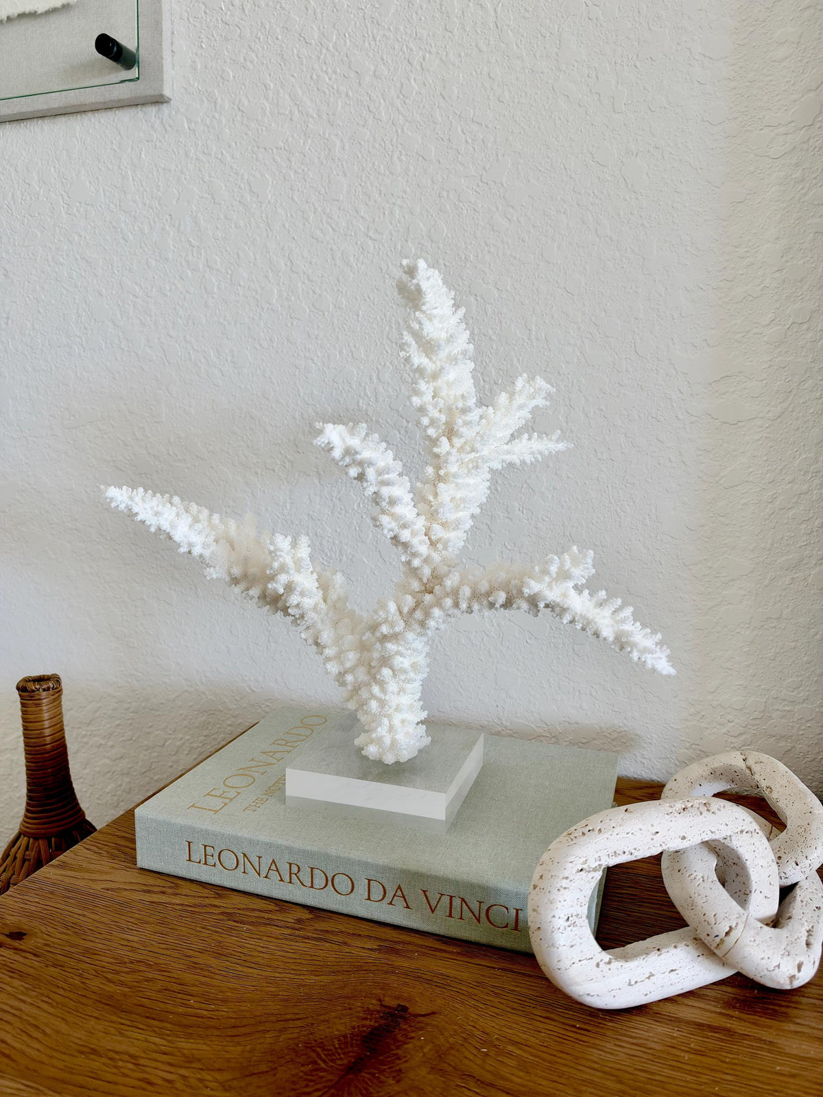 Real Branch Coral Fossil Specimen: 14.75" x 13" x 7.5" Coastal Décor (Lucite Mount)