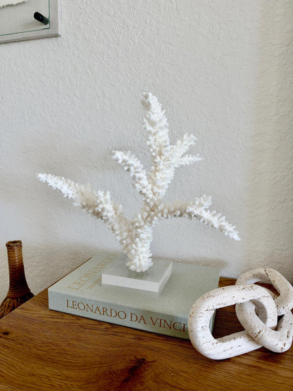 Real Branch Coral Fossil Specimen: 14.75" x 13" x 7.5" Coastal Décor (Lucite Mount)