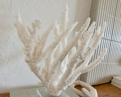 Real Branch Coral Fossil Specimen: 15.25" x 12" x 7.25" Coastal Décor (Lucite Mount)