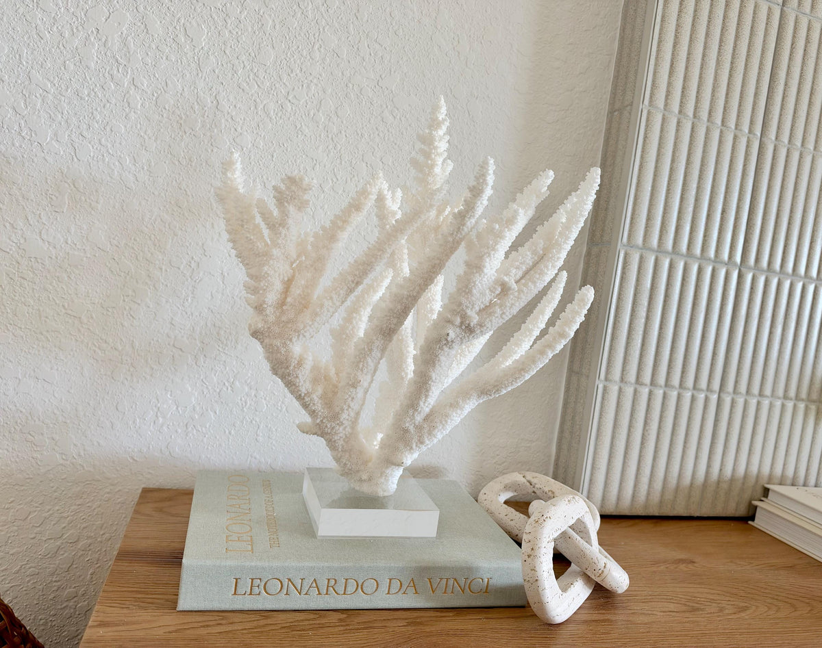 Real Branch Coral Fossil Specimen: 15.25" x 12" x 7.25" Coastal Décor (Lucite Mount)