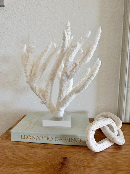 Real Branch Coral Fossil Specimen: 15.25" x 12" x 7.25" Coastal Décor (Lucite Mount)