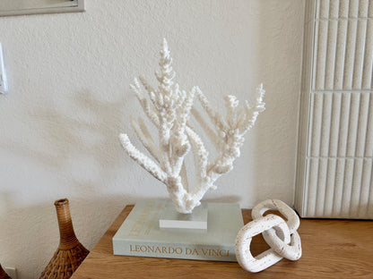 Real Branch Coral Fossil Specimen: 15.25" x 12" x 7.25" Coastal Décor (Lucite Mount)
