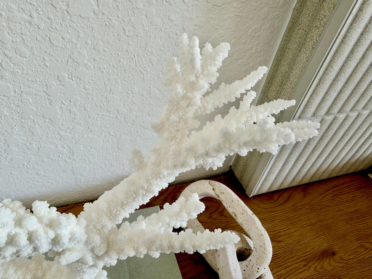 Real Branch Coral Fossil Specimen: 13.5" x 10.5" x 4" Coastal Décor (Lucite Mount)