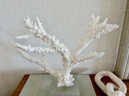 Real Branch Coral Fossil Specimen: 13.5" x 10.5" x 4" Coastal Décor (Lucite Mount)