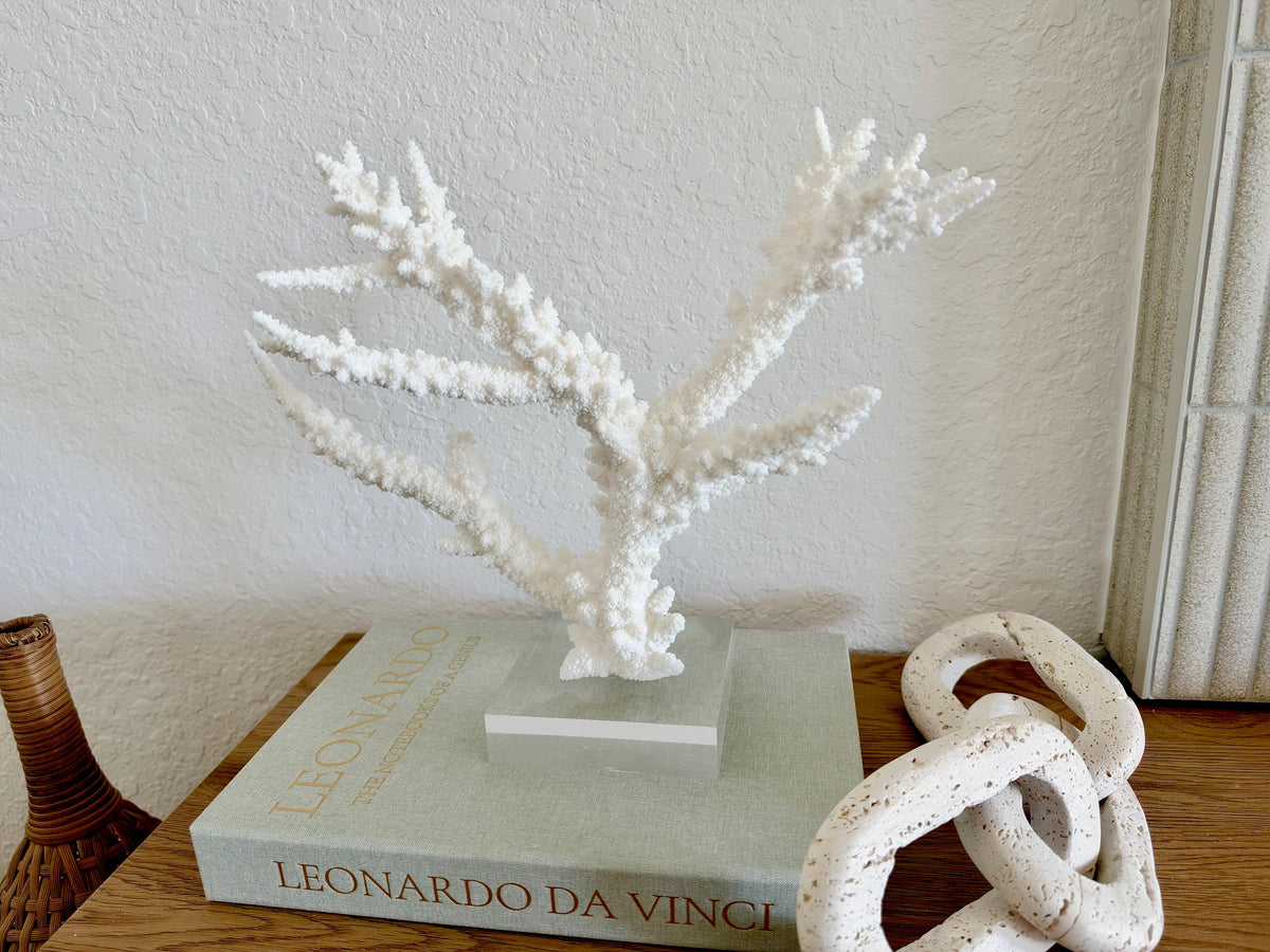 Real Branch Coral Fossil Specimen: 13.5" x 10.5" x 4" Coastal Décor (Lucite Mount)