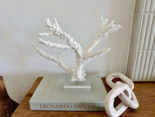 Real Branch Coral Fossil Specimen: 13.5" x 10.5" x 4" Coastal Décor (Lucite Mount)