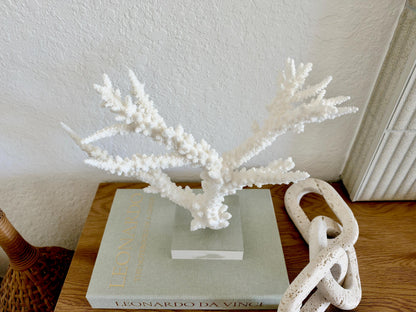 Real Branch Coral Fossil Specimen: 13.5" x 10.5" x 4" Coastal Décor (Lucite Mount)
