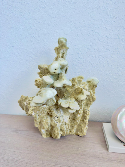 Natural Fire Slab Fossil: 15" x 13" x 12" Coastal Beach House Green Décor