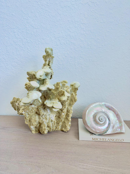 Natural Fire Slab Fossil: 15" x 13" x 12" Coastal Beach House Green Décor