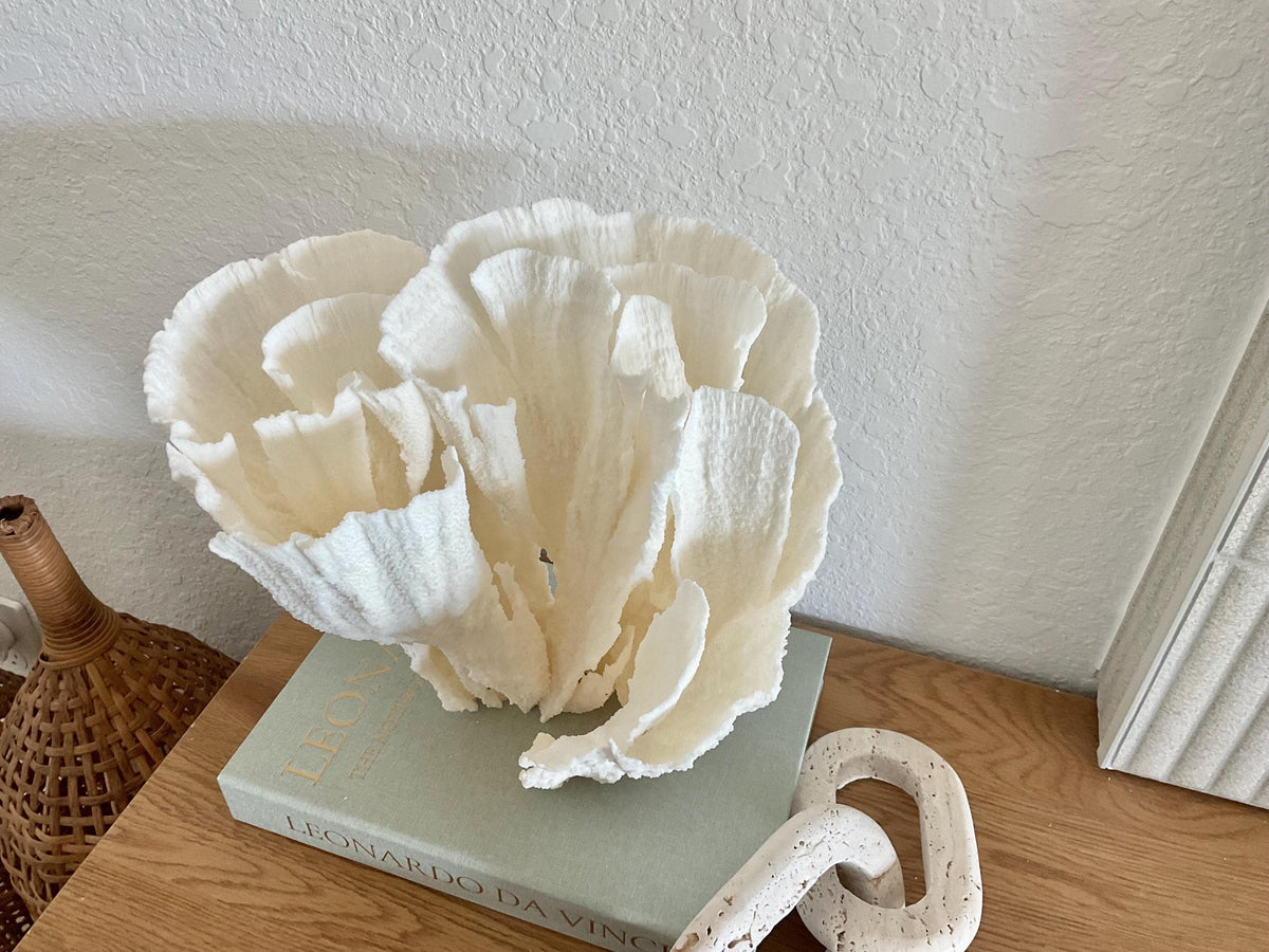 Natural Poca Coral Fossil: 11" x 10" x 9" Coastal Beach House White Décor