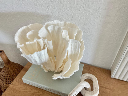 Natural Poca Coral Fossil: 11" x 10" x 9" Coastal Beach House White Décor