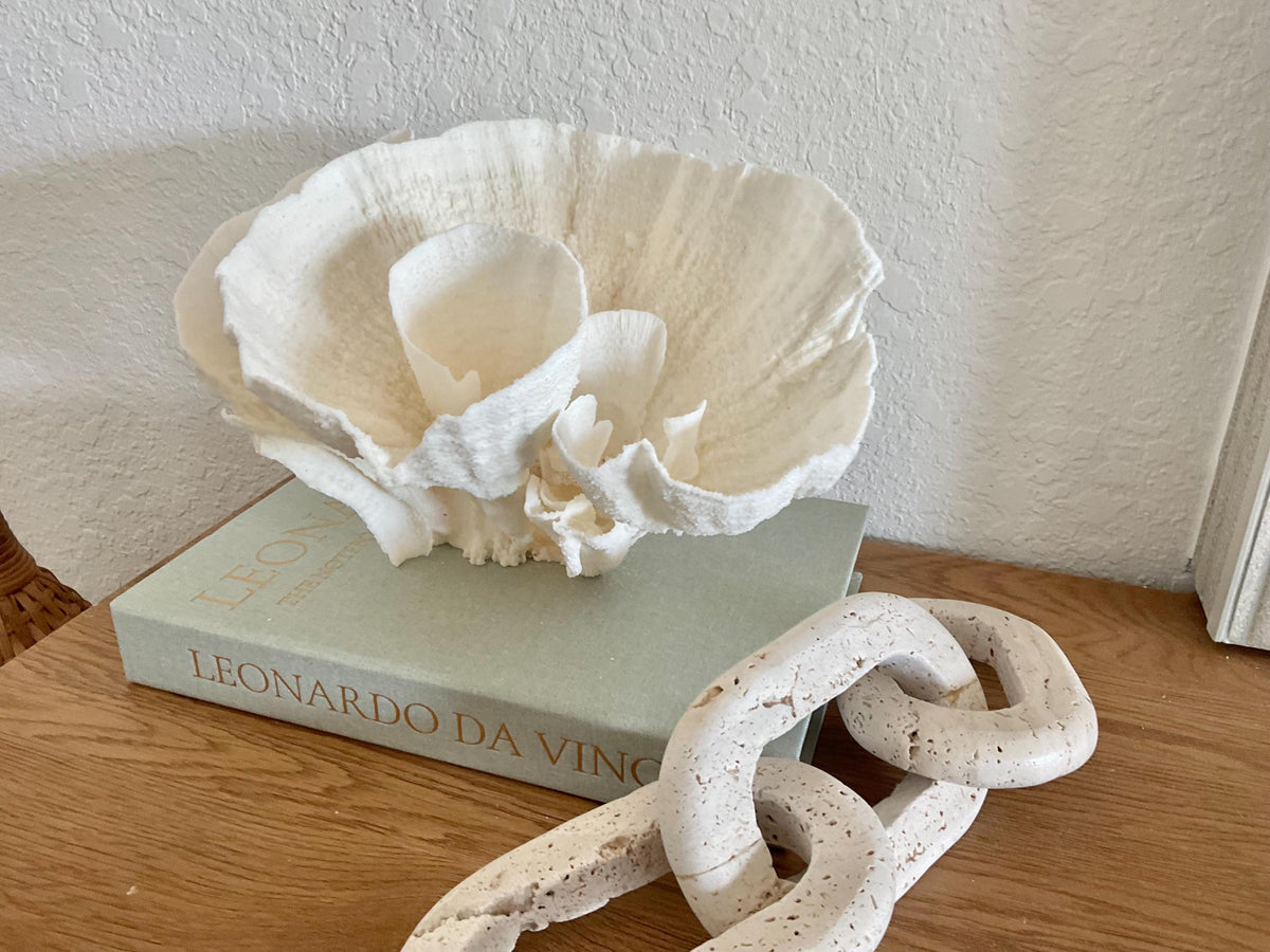 Natural Poca Coral Fossil: 11" x 8" x 7" Coastal Beach House White Décor
