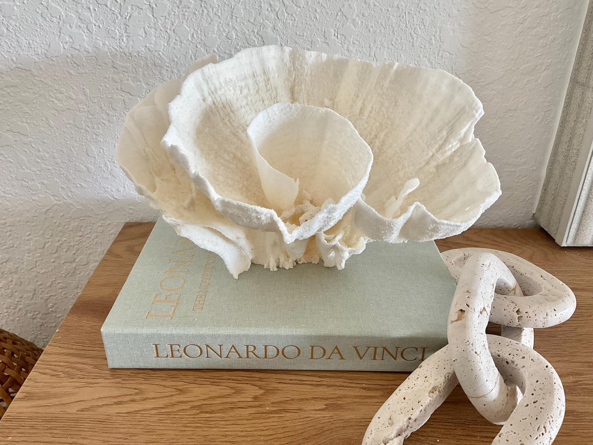 Natural Poca Coral Fossil: 11" x 8" x 7" Coastal Beach House White Décor
