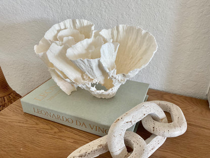 Natural Poca Coral Fossil: 10" x 7" x 7" Coastal Beach House White Décor