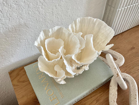 Natural Poca Coral Fossil: 10" x 7" x 7" Coastal Beach House White Décor