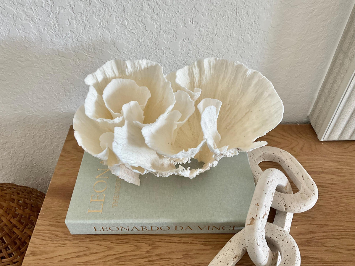 Natural Poca Coral Fossil: 10" x 7" x 7" Coastal Beach House White Décor