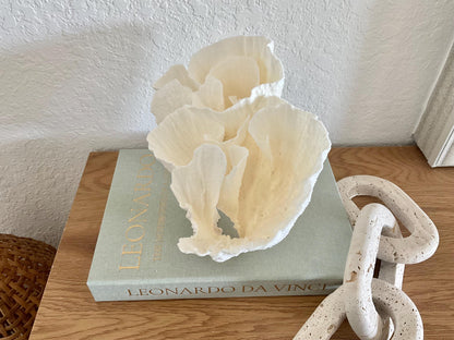 Natural Poca Coral Fossil: 10" x 7" x 7" Coastal Beach House White Décor