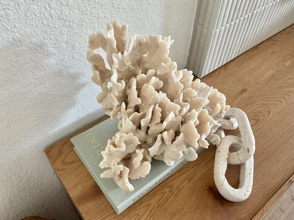 Beige Cactus Coral Fossil 13" x 11" x 10" XL Extra Large 100% Natural Specimen