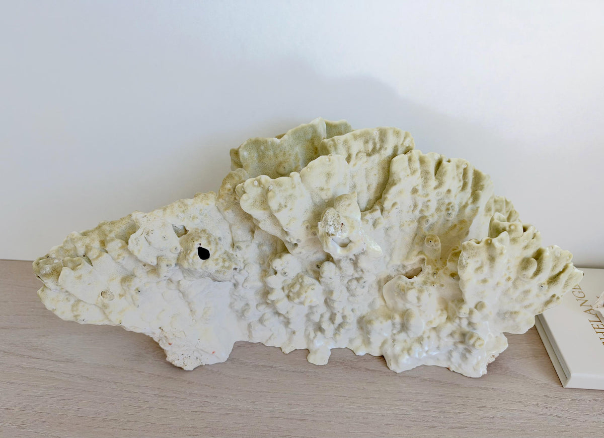 Natural Fire Slab Fossil: 18" x 8" x 6" Coastal Beach House Green Décor