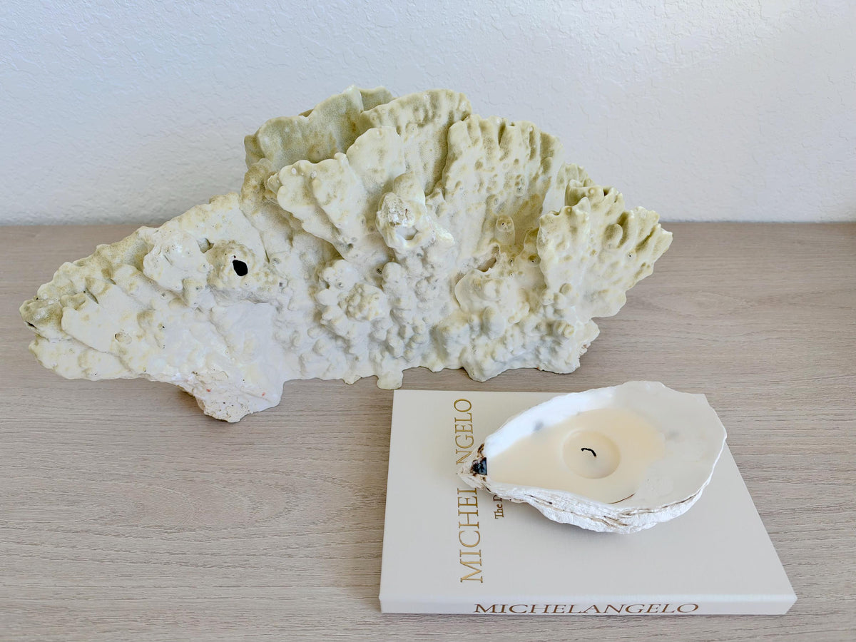 Natural Fire Slab Fossil: 18" x 8" x 6" Coastal Beach House Green Décor