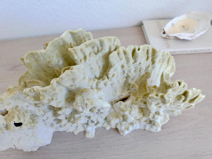 Natural Fire Slab Fossil: 18" x 8" x 6" Coastal Beach House Green Décor