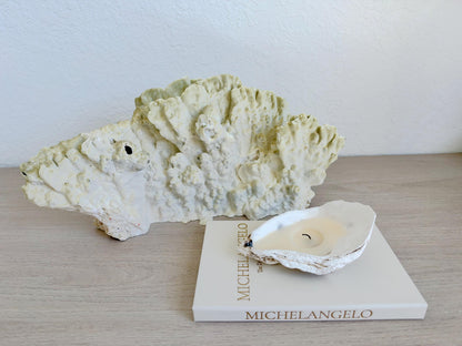 Natural Fire Slab Fossil: 18" x 8" x 6" Coastal Beach House Green Décor