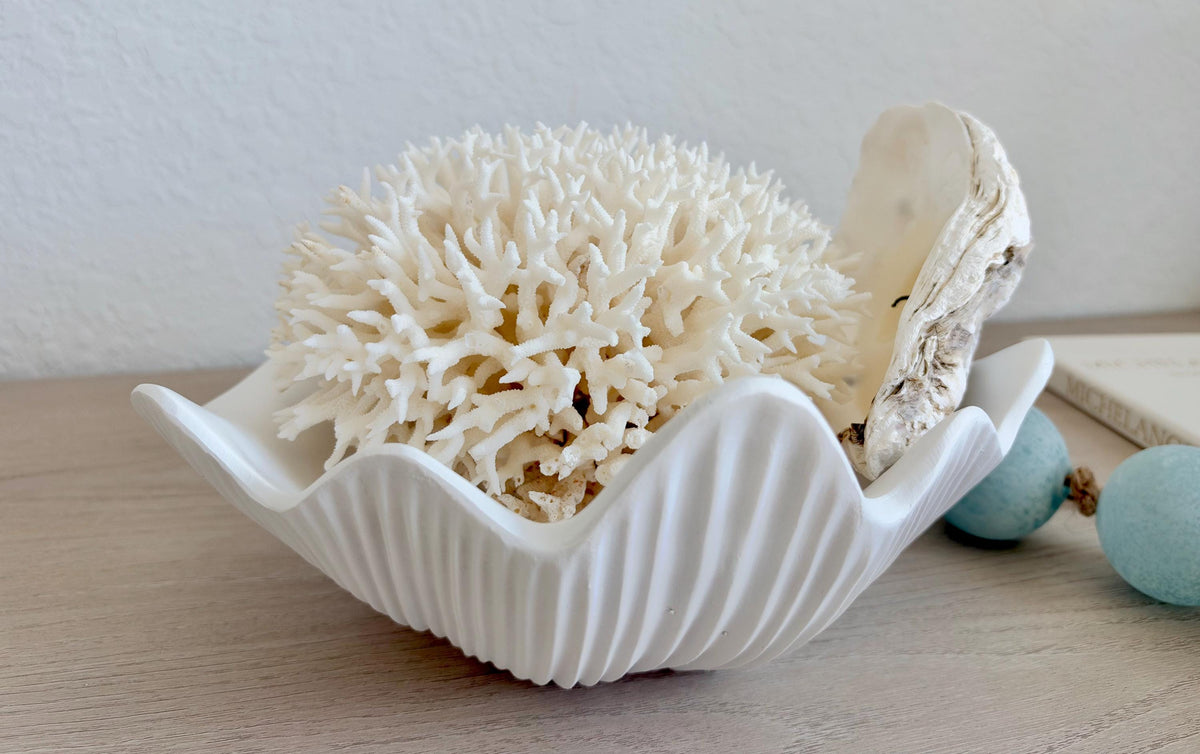 Custom Color Decorative Clam Shell Bowl, 10.5" White or Aged Oyster Grey