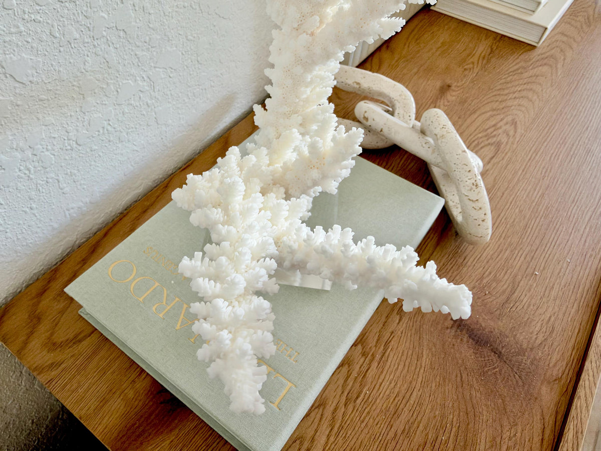 Real Branch Coral Fossil Specimen: 14.75" x 13" x 7.5" Coastal Décor (Lucite Mount)