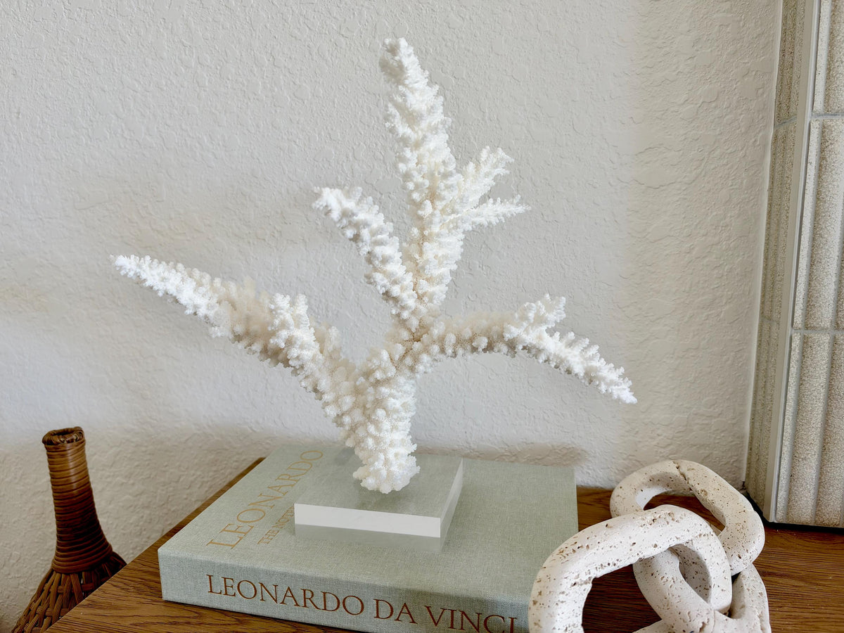 Real Branch Coral Fossil Specimen: 14.75" x 13" x 7.5" Coastal Décor (Lucite Mount)