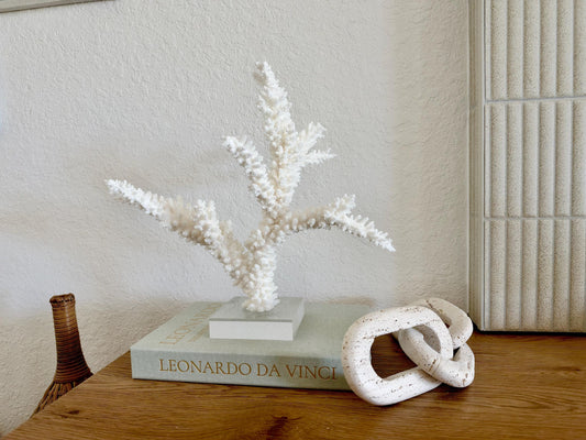 Real Branch Coral Fossil Specimen: 14.75" x 13" x 7.5" Coastal Décor (Lucite Mount)