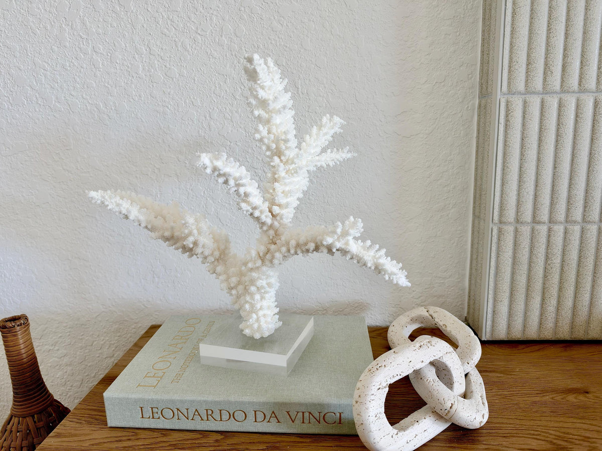 Real Branch Coral Fossil Specimen: 14.75" x 13" x 7.5" Coastal Décor (Lucite Mount)