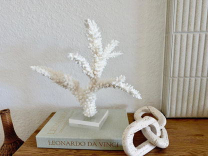 Real Branch Coral Fossil Specimen: 14.75" x 13" x 7.5" Coastal Décor (Lucite Mount)