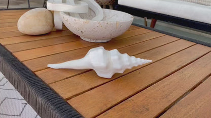 WAVY SPINDLE SHELLS 6-7" White Long Natural Display Conch Seashell Coastal Beach Décor