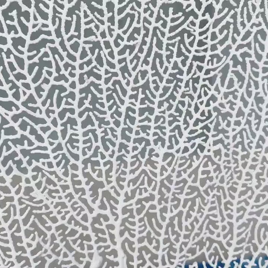 Natural Dried Real Sea Fans Painted WHITE 8-20" You Choose Size Ocean Reef Decoration Natural Beach Coastal Décor Display