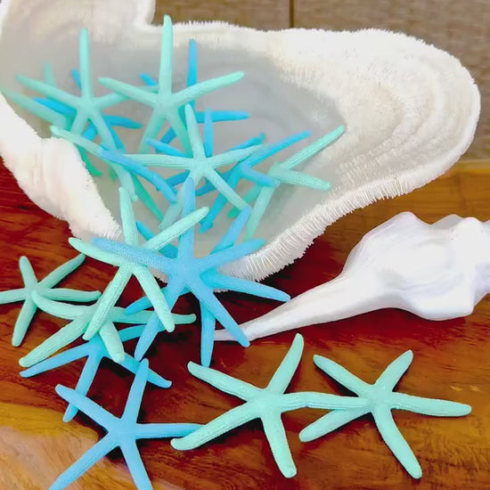 Seafoam Green Light Blue Painted Pencil Finger Starfish 3-6" You Pick Quantity & Size Crafts Coastal Décor Wedding Beach Sea Stars