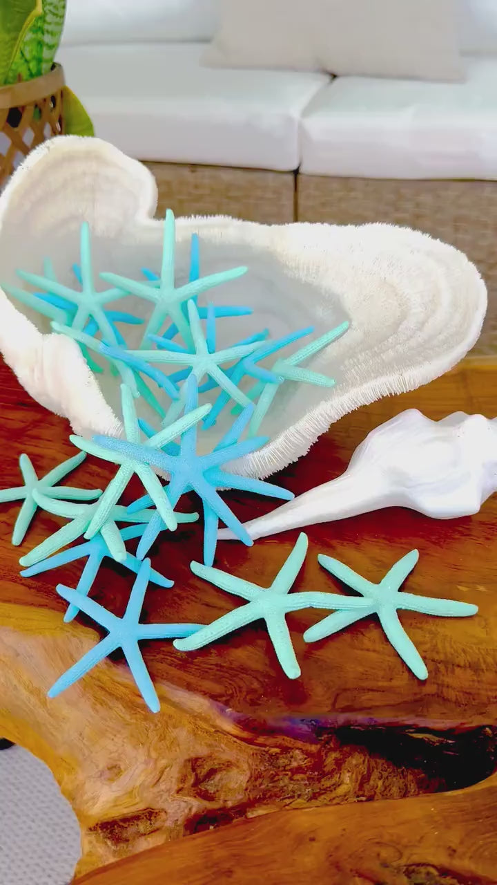 Seafoam Green Light Blue Painted Pencil Finger Starfish 3-6" You Pick Quantity & Size Crafts Coastal Décor Wedding Beach Sea Stars