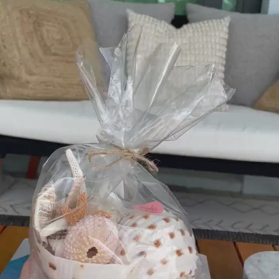 MYSTERY STUFFED SEASHELL Seashells, Sea Glass, Starfish, Urchins, Sand dollars and more coastal décor mix