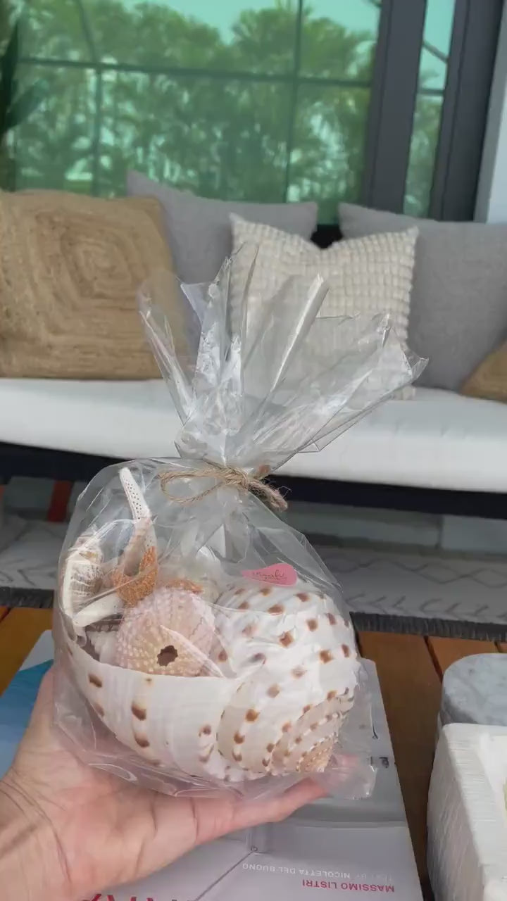 MYSTERY STUFFED SEASHELL Seashells, Sea Glass, Starfish, Urchins, Sand dollars and more coastal décor mix
