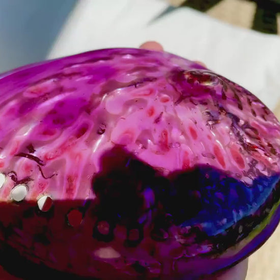 PURPLE ABALONE SHELL Huge 5.5-6" X-Large High Gloss Polished Display Seashell Midas Iridescent Sage Dish