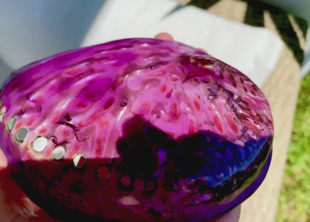 PURPLE ABALONE SHELL Huge 5.5-6" X-Large High Gloss Polished Display Seashell Midas Iridescent Sage Dish